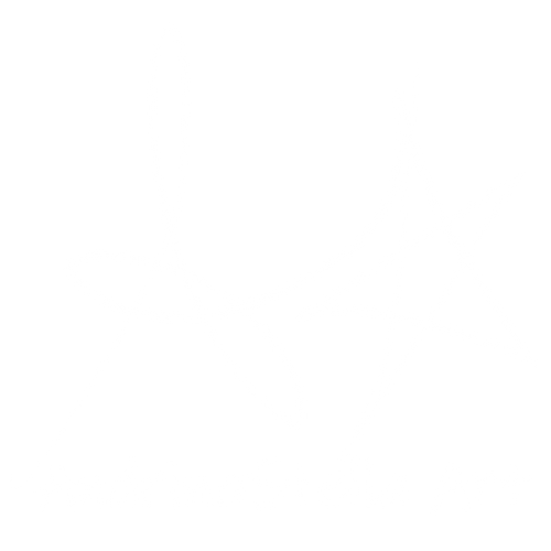 AndrinaStella Art